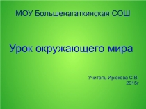 Презентация по окружающему миру на тему Твоё настроение (1 класс)