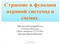 Учебные схемы по биологии на тему: Нервная система