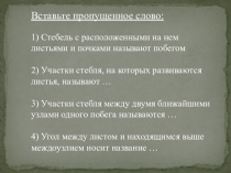 Презентация по биологии на тему Внешнее строение листа (6 класс)