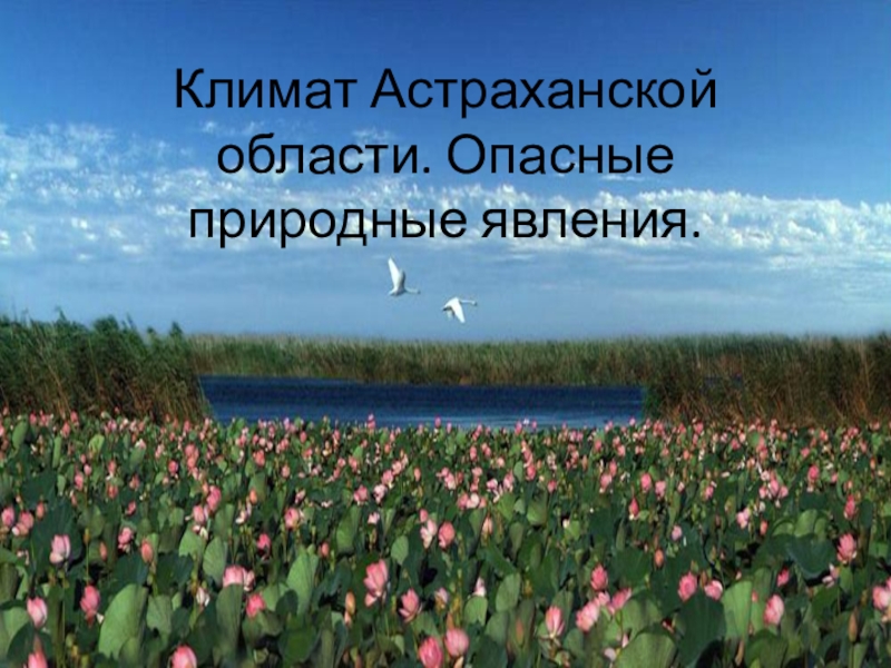 Презентация Презентация по окружающему миру Климат Астраханской области (2-4 класс)