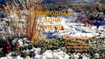 Презентация по теме: Природная зона Степь