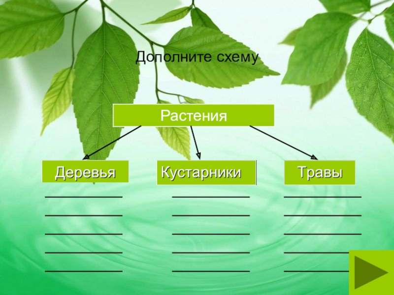 Дополните схему. Дополни схему. Дополните схему растения кустарники. Дополни схему растения кустарники.