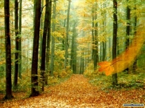 Презентация по математике к уроку Решение уравнений и задач на сложение и вычитание смешанных чисел для 6 класса