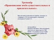 Презентация по русскому языку Правописание имён существительных и прилагательных