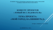 Проектная работа 3 класс