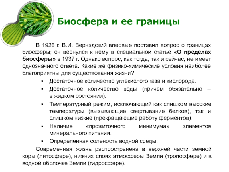 Презентация по биологии 11 класс биосфера глобальная экосистема