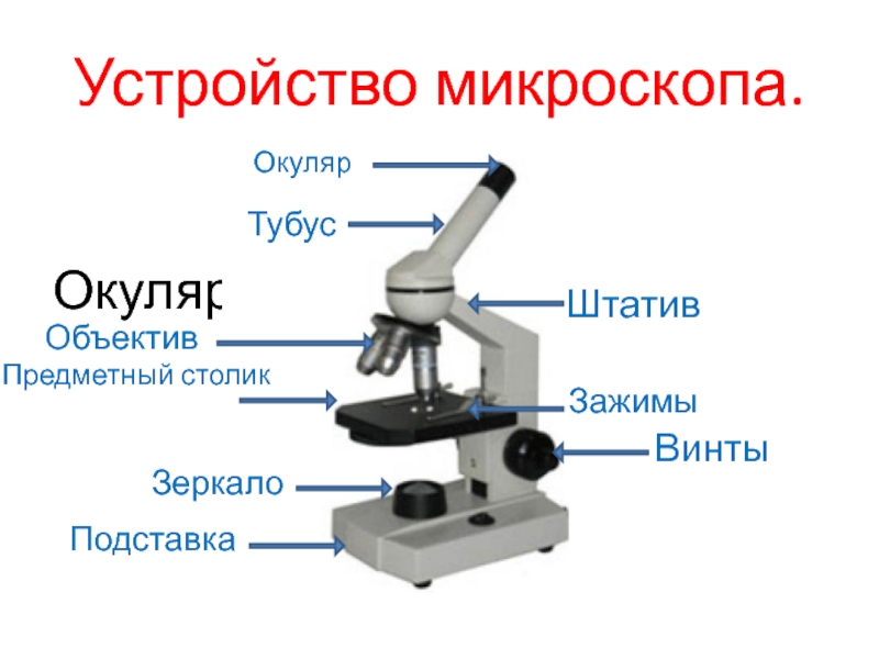 Какое изображение дает окуляр