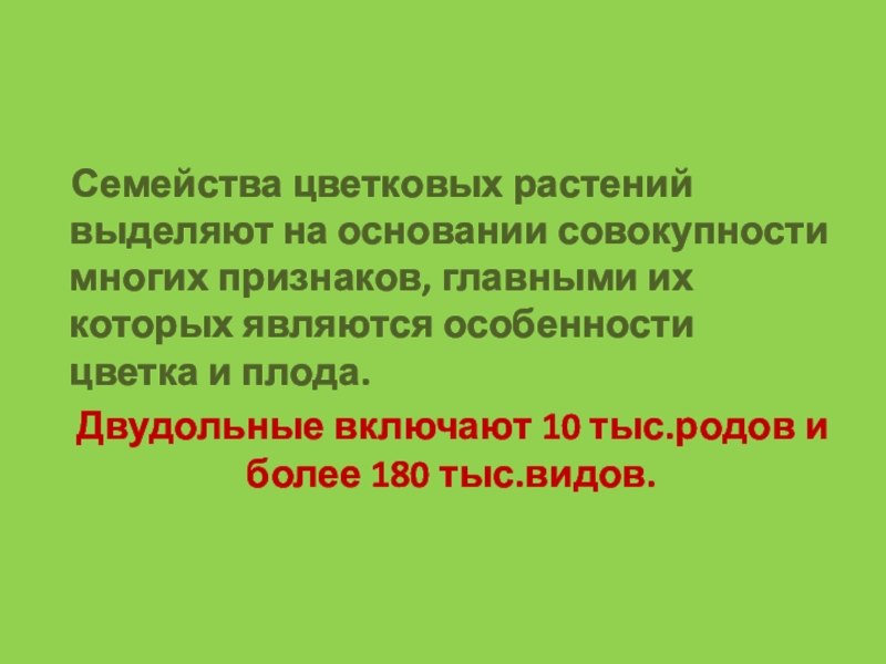 Презентация семейства цветковых растений 6 класс