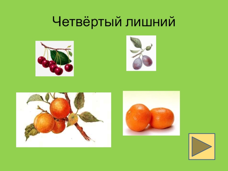 Укажите 4 лишний. Четвертый лишний слайд. Четвертый лишний биология. Презентация на тему фрукты младшая группа. Четвертый лишний витамины.