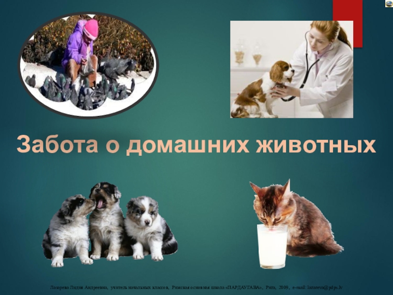 забота о братьях наших меньших. группа забота о животных. домашние животные друзья человека. мелкие домашние животные. забота детей о животных.