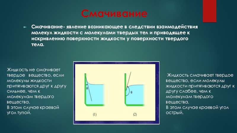 Смачивание и несмачивание физика 10 класс презентация