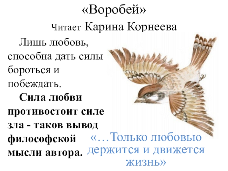 Воробьев читает стихи. Рассказ про воробья. Стихотворение в прозе Воробей. Стихотворение Воробей Тургенев. Воробей читать.