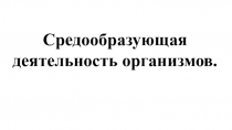 Презентация по биологии 9 классСредообразующая деятельность организмов и обмен веществ