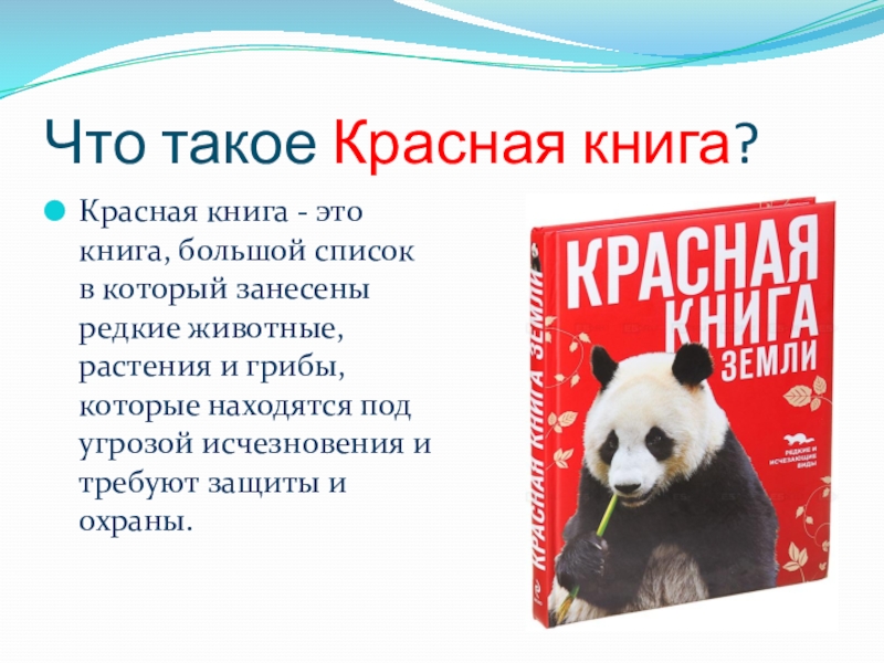 Красная Книга Купить Читай Город