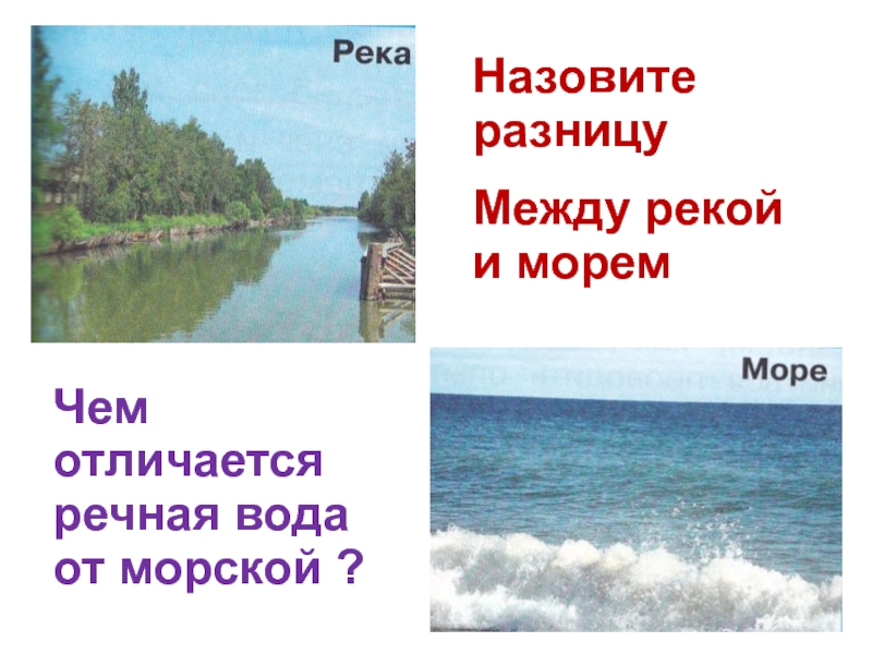 Различие рек и озер. Отличие реки от моря. Река и море отличия. Различие между рекой и морем. Чем отличается река от моря.