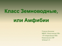 Презентация по биологии 7 класс Класс Земноводные
