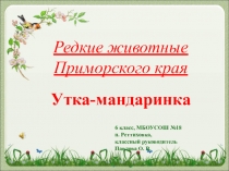 Презентация к проведению классного часа Редкие животные Приморского края