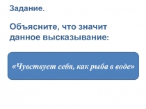 Презентация к уроку биологии в 7 классе Скелет и системы органов рыб