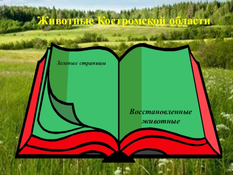 Красная книга костромской области животные и растения презентация