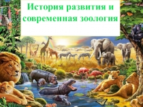 Презентация к уроку Введение в зоологию, 7 класс