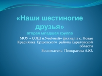 Презентация для второй младшей группы  Наши шестиногие друзья