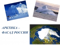 Презентация по географии на тему Арктика (7 класс)