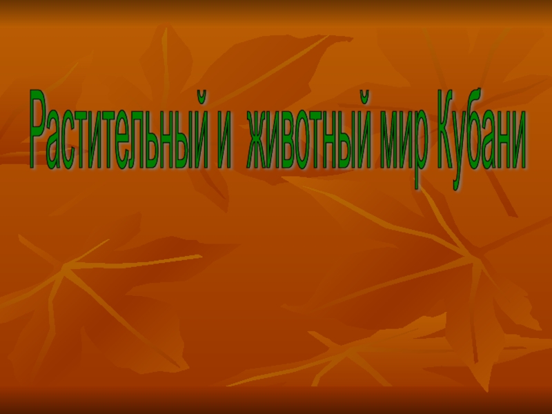 Статья: Растительный мир Краснодарского Края