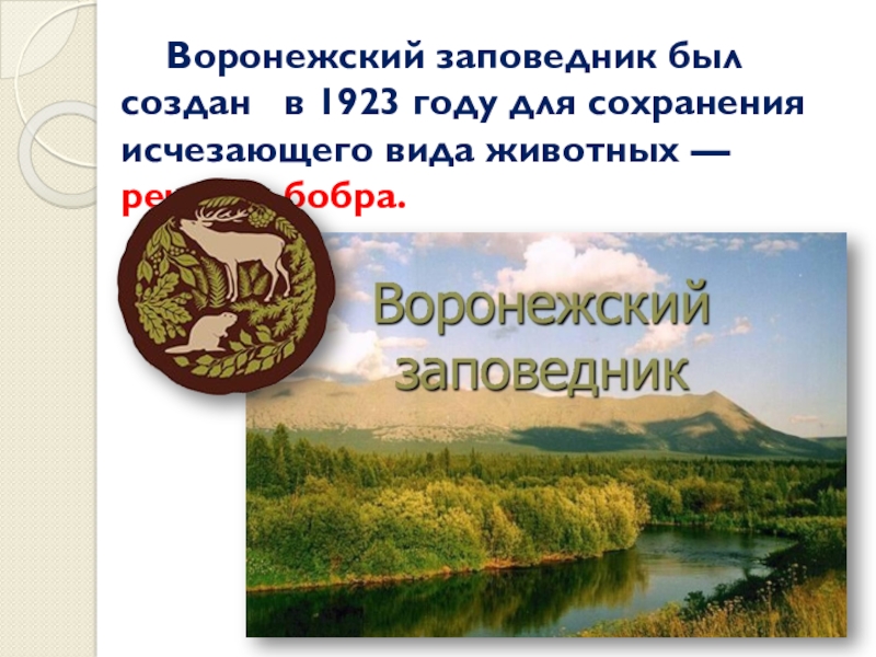 Заповедники воронежской области презентация