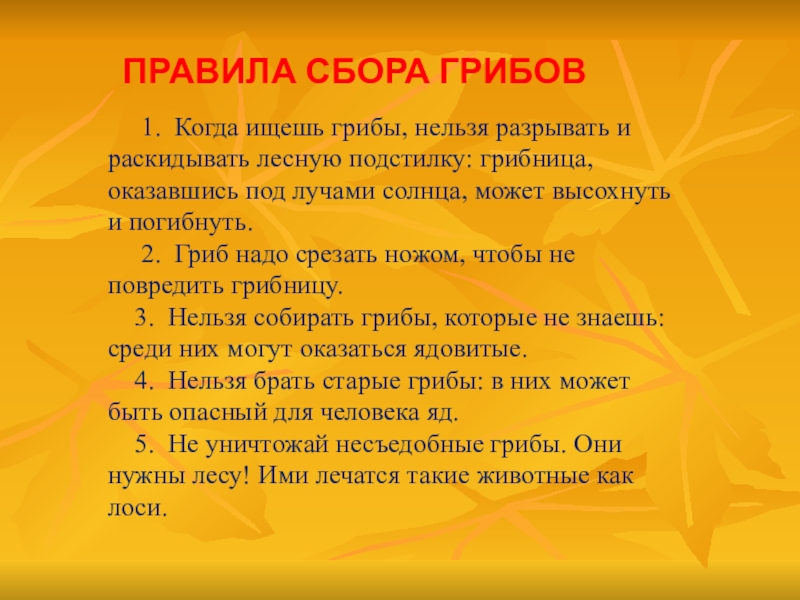 Соберу правило. Памятка по правилам сбора грибов. Правила сбора грибов 1 класс окружающий. Правила сбора грибов. Правила сборки грибов.