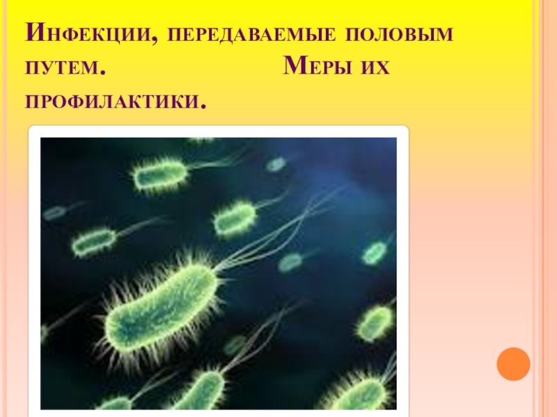 Как перемещаются бактерии. Жгут бактерии. Жгутики бактериальной клетки. Микробы со жгутиками. Бактерии со жгутиками и ресничками.