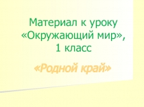 Презентация к уроку окружающего мира по теме Родной край 1 класс