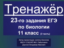 Презентация по биологии на тему: Тренажёр 23-го задания ЕГЭ по биологии,3 часть (11 класс