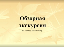 обзорная экскурсия по городу Полевскому