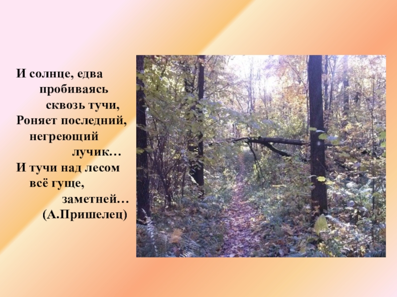 Солнце едва. Прочитайте. Сквозь,пробилось ,тучи,. Лес стоял тихий и холодный солнце не пробивалось сквозь густые. Crdjpm NEXB ghj,bkjcm cjkywt b vs gjikb d KTC C[TVF. Составить три предложения :сквозь, пробилось, тучи.