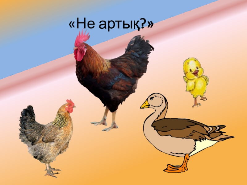 Үй құстары тех карта балабақшада