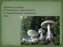 Презентация по окружающему миру на тему Бледная поганка(2 класс)