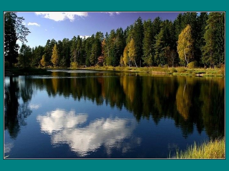 Примеры природных сообществ озеро. Озеро Синемукса. Лесное озеро. Россия озера синие. Природное сообщество озеро.