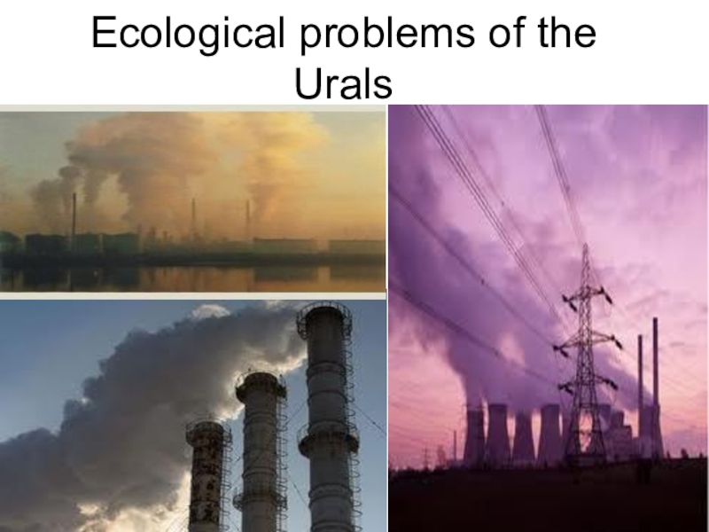 Статья: Ecology