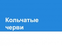 Кольчатые черви