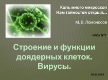 Презентация по биологии на тему Строение и функции доядерных клеток. Вирусы