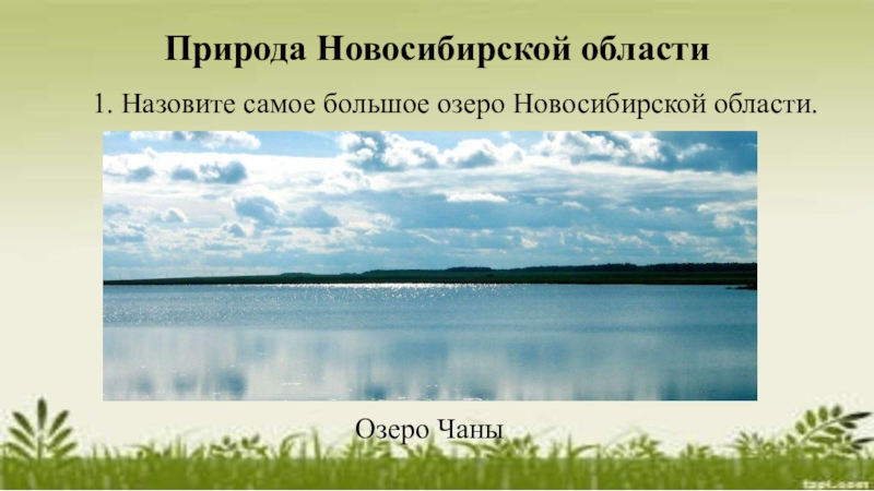 142 оз новосибирская область. Разнообразие природы Новосибирской области. Природа Новосибирской области проект. Природа Новосибирской области презентация. Разнообразие природы Новосибирского края.