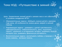 Презентация к НОД  Путешествие в зимний лес