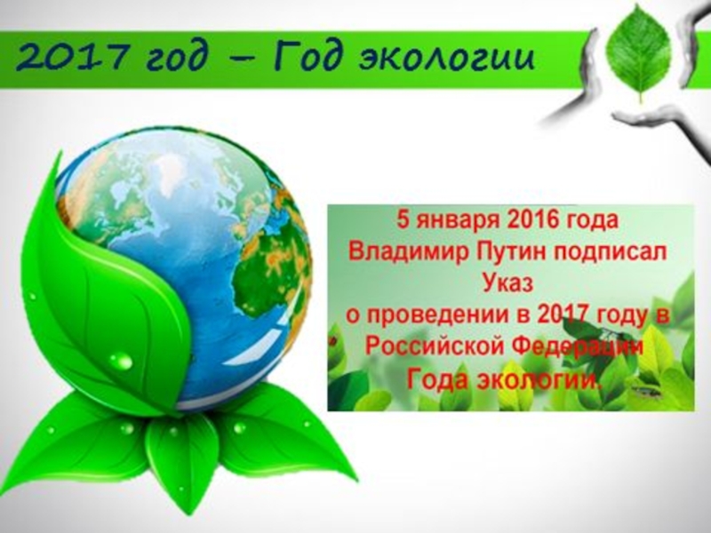 2019 год экологии. Год экологии. День экологии. 2017 Год экологии. 2017 Год год экологии в России.