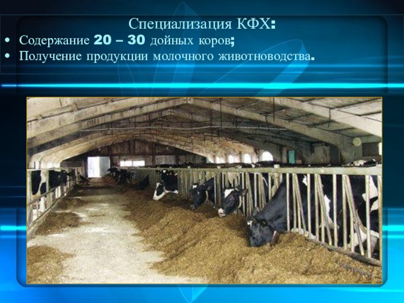 Содержать 20. Презентация фермерского хозяйства. Специализация КФХ. Преобразование крестьянского хозяйства. Получение продукции коров.