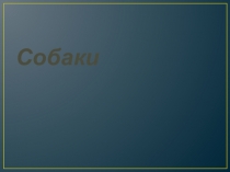 Презентация по окружающему миру на тему:Собаки
