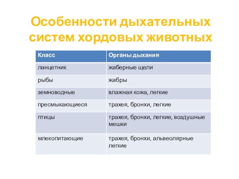 Особенности дыхания животных таблица