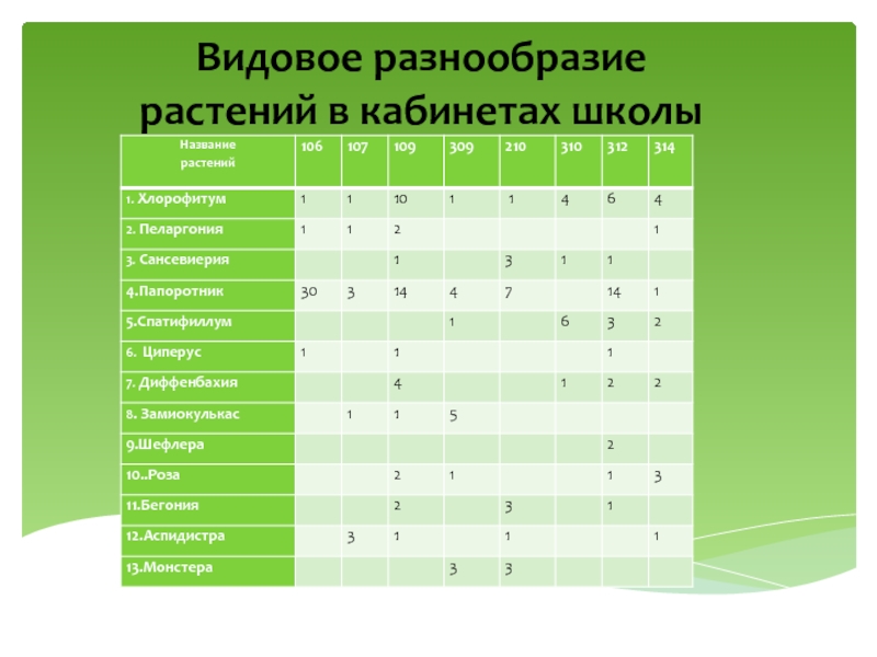 Кабинеты в школе список