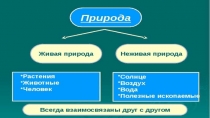 Презентация по Окружающему миру 2 класс Планета знаний.