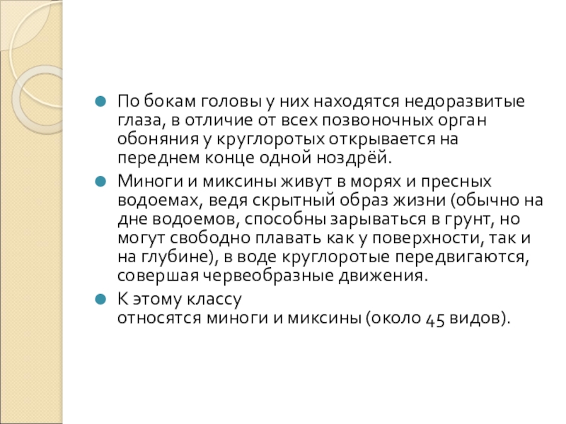 По бокам головы у них находятся недоразвитые глаза, в отличие от всех позвоночных орган обоняния у круглоротых открывается на переднем конце