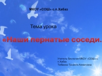 Презентация к открытому уроку в рамках конкурса Педагог года-2016 на тему Наши пернатые соседи